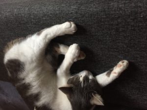 Ronja tycker det är spännande med fotboll...eller lin