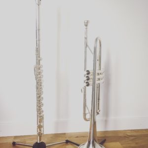 TvĂ„ av mina bĂ€sta vĂ€nner. Mina instrument!đ¶đ