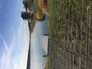 IMG_5828